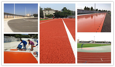 15��ĥ�Z-�w���������w��Q�����I����